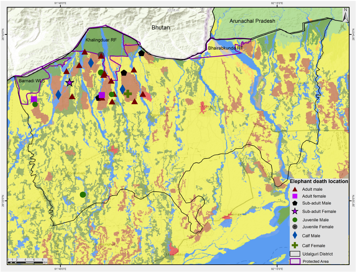 Distribution map of Elephant