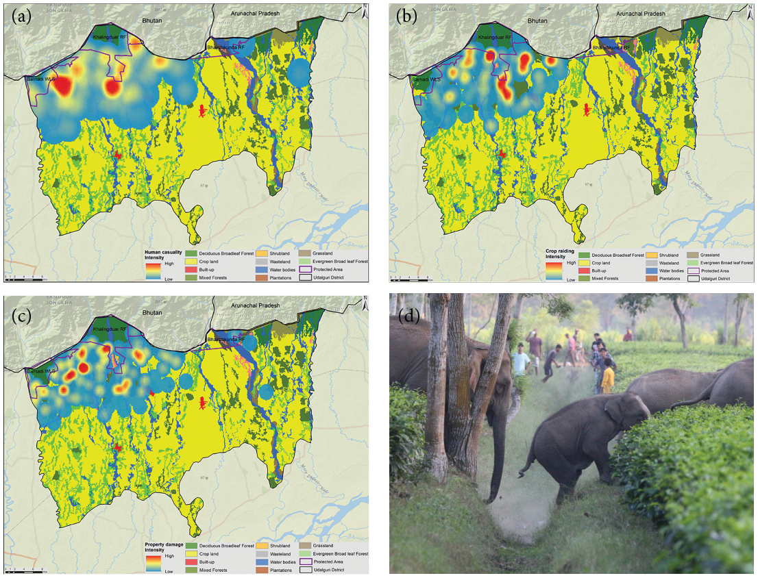 Human-elephant interaction