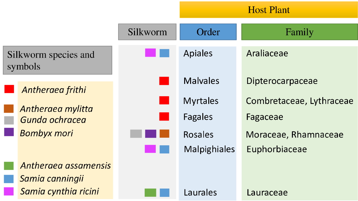 larval host plant phylogeny