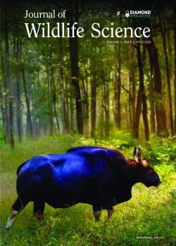 Cover Volume 3 Issue 2.jpg