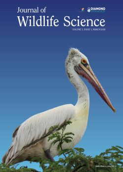 Cover_March-2026-JWLS.jpg