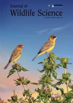 JWLS-VOLUME-2-ISSUE-2-COVER JWLS-VOLUME-2-ISSUE-2-COVER